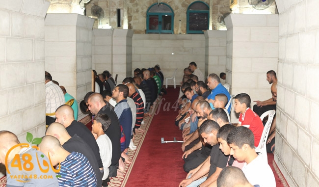 laila qader 3omar (37).jpg